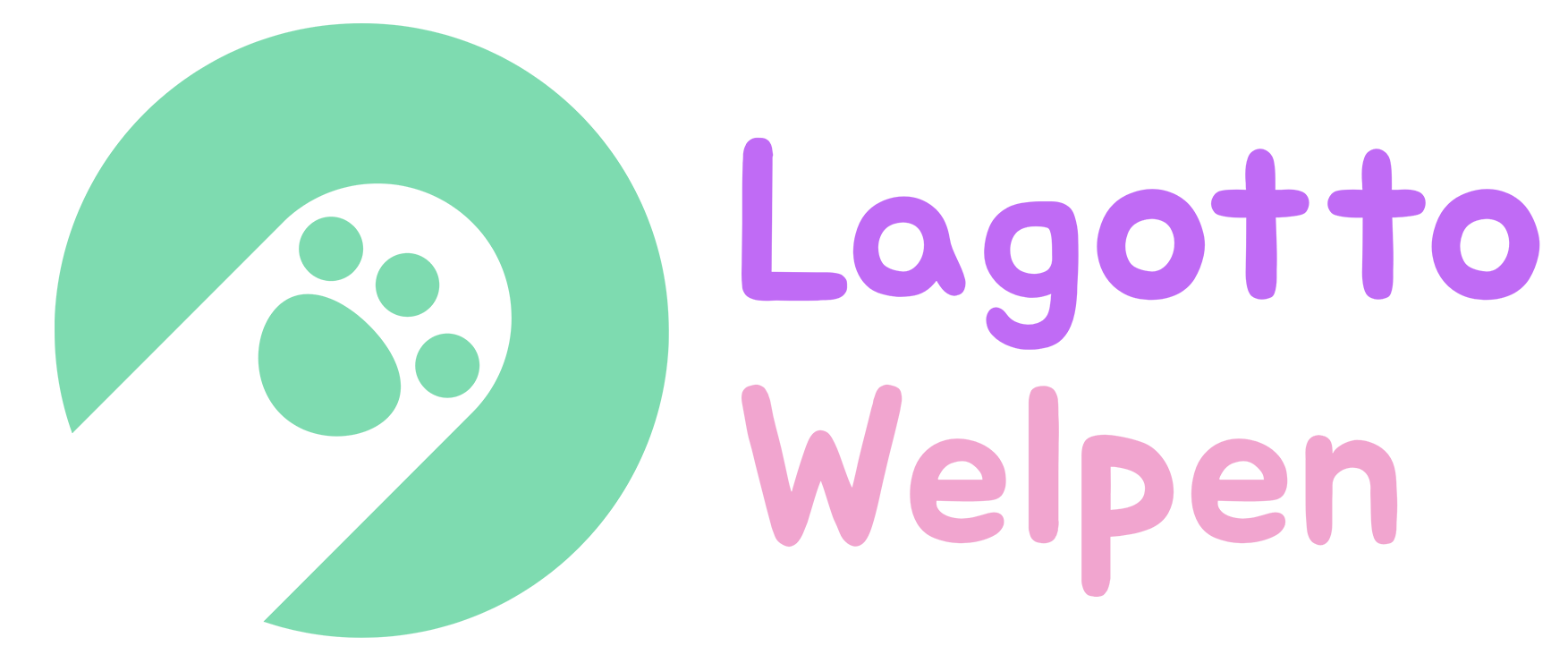 Lagotto-Welpen